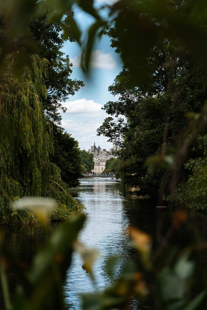 Minimalist luxury interior designed for recovery and wellbeing