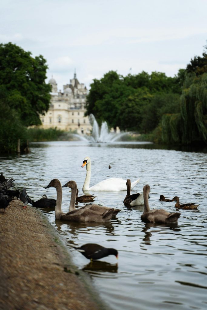 Luxury rehabilitation residence interior with calm, natural design at The Balance Clinic