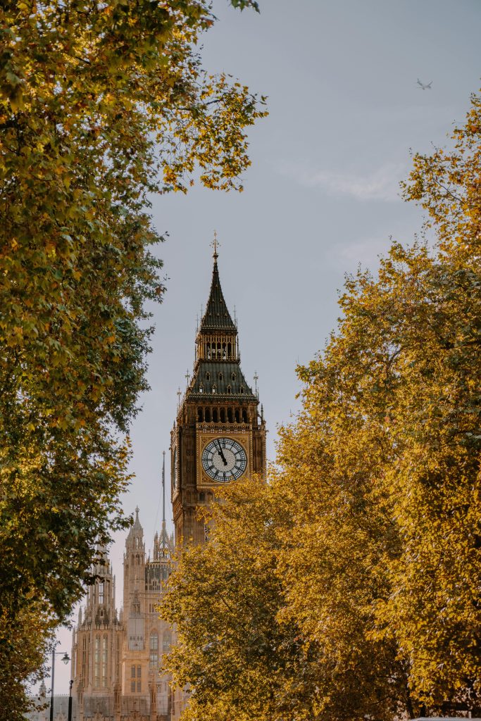 Nature-inspired outdoor environment supporting recovery and wellbeing