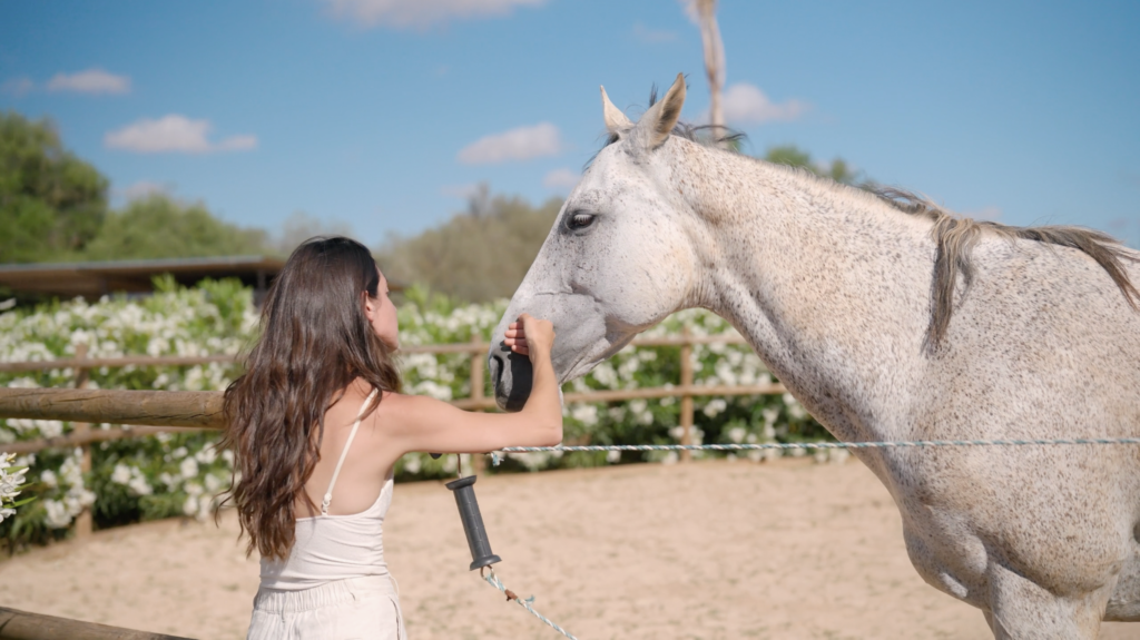 Woman gently feeding a white horse in an outdoor paddock on a sunny day