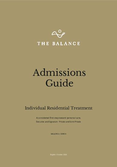 THE BALANCE Admissions Guide, gold cover